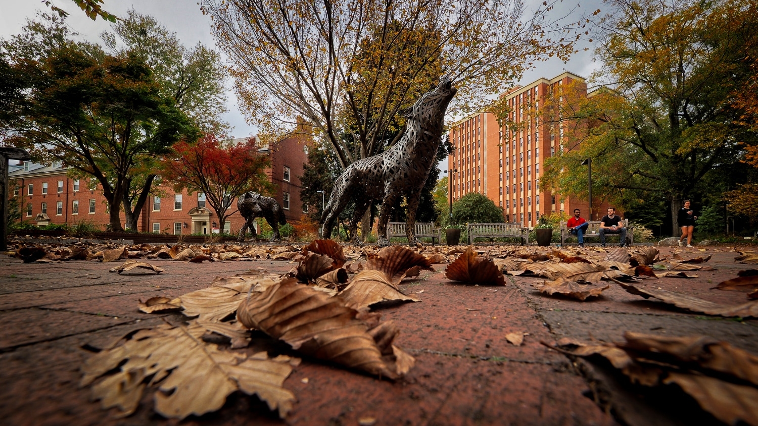 Cooper Wolves at Wolf Plaza surrounded by fall leaves