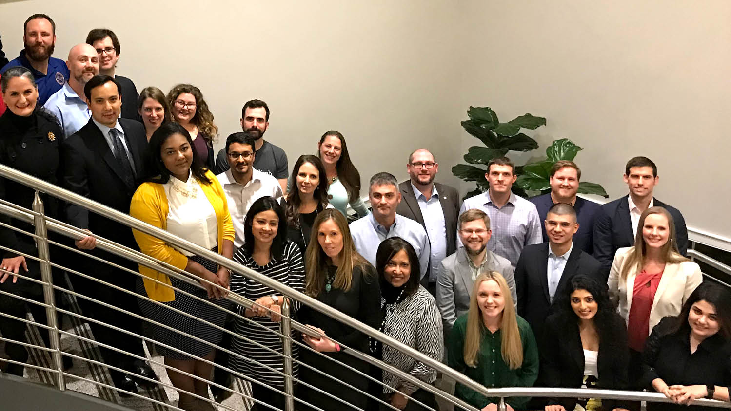 2017 McLauchlan Fellows